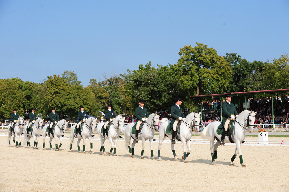 Caballos de Lipica