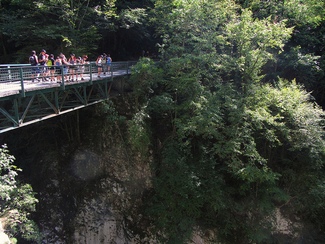 Puente sobre las garganats de Tolmin